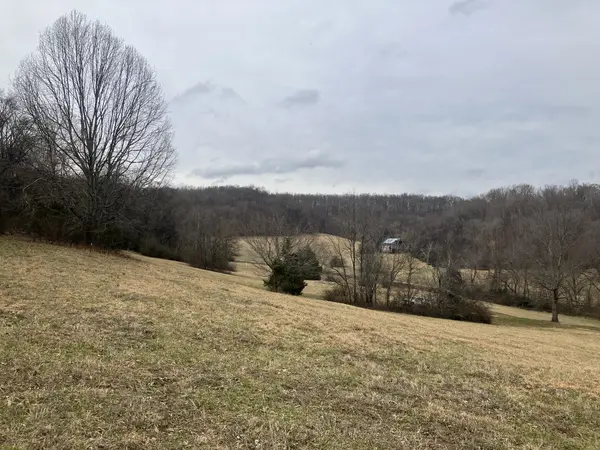 12 Booker Ridge RD, Mount Pleasant, TN 38474