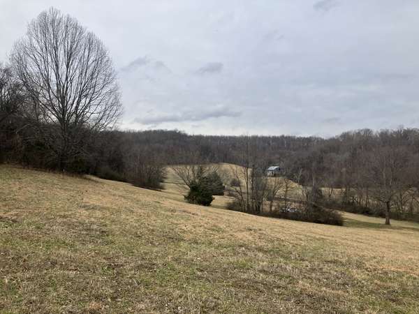 12 Booker Ridge RD, Mount Pleasant, TN 38474