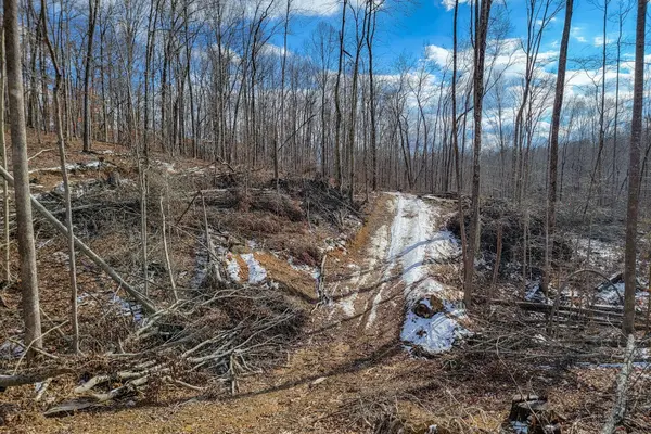 0 Hutchins Bend Rd, Sparta, TN 38583