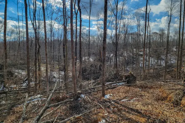 0 Hutchins Bend Rd, Sparta, TN 38583