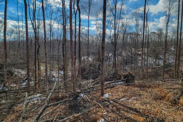 0 Hutchins Bend Rd, Sparta, TN 38583