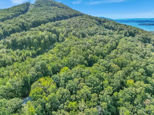 0 Browbend Drive, Guild, TN 37340