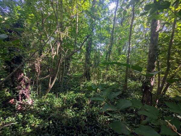 0 County Road 493, Etowah, TN 37331