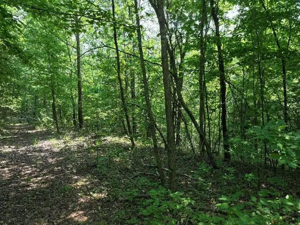 0 Cherry LN, Celina, TN 38551