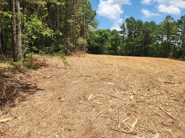 446 E Main St, Hohenwald, TN 38462