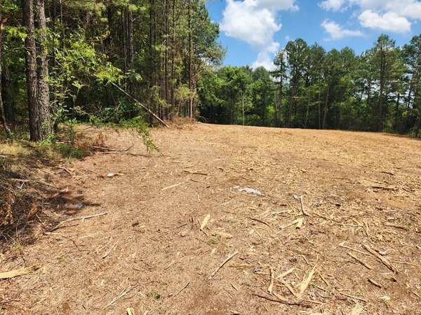 446 E Main St, Hohenwald, TN 38462