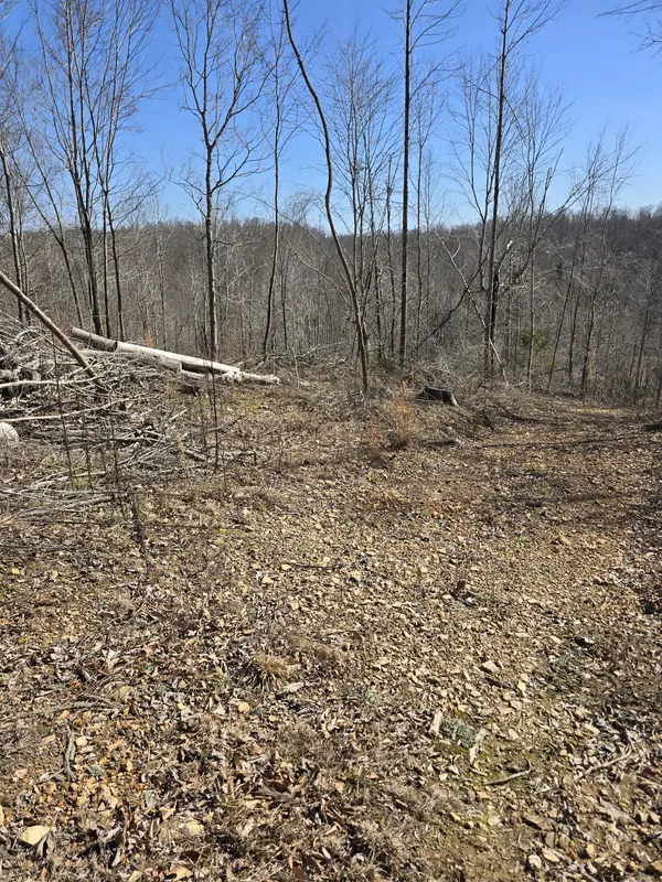 0 Honey Fork Road, Indian Mound, TN 37079