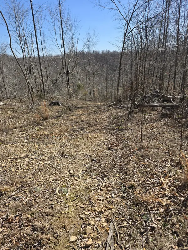 0 Honey Fork Road, Indian Mound, TN 37079
