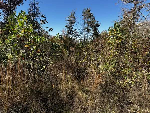 0 Ridge Top Rd, Stewart, TN 37175