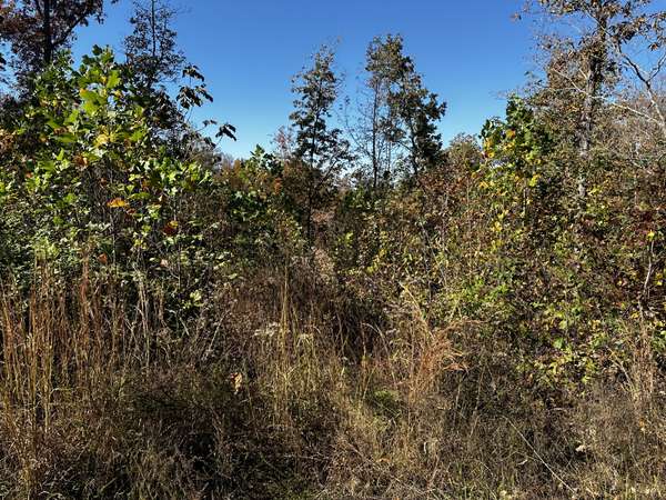 0 Ridge Top Rd, Stewart, TN 37175