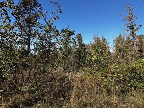 0 Ridge Top Rd, Stewart, TN 37175