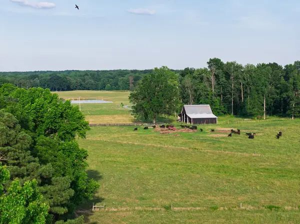 555 Williams Rd, Clarksville, TN 37043