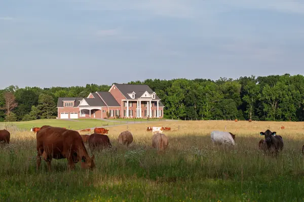555 Williams Rd, Clarksville, TN 37043