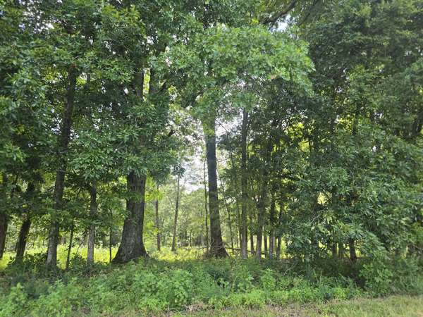 0 Nashville Hwy, Lewisburg, TN 37091