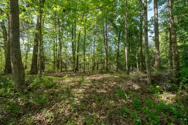 0 Walker Rd, Rock Island, TN 38581