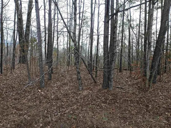 0 Highway 18, Medon, TN 38356