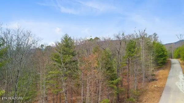 514 Percussion Court, Walland, TN 37886