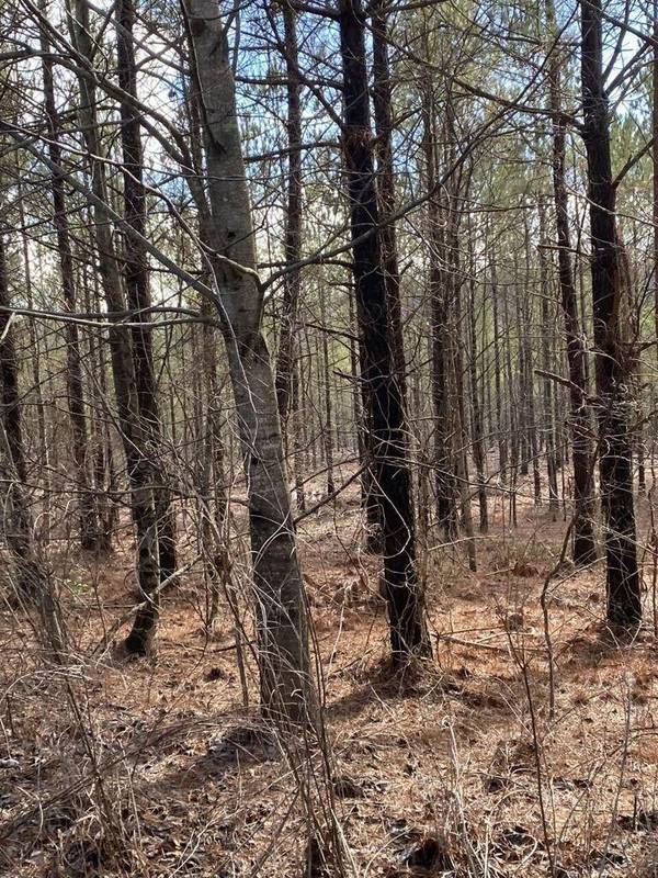 5 Thomas Springs Road, Crossville, TN 38572