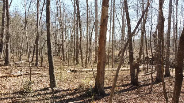 0 Rolling Hills Dr, Spencer, TN 38585