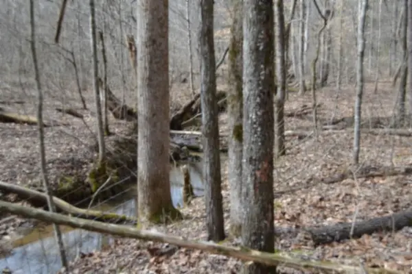 0 Boles Road, Hilham, TN 38568
