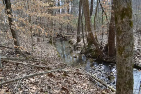 0 Boles Road, Hilham, TN 38568