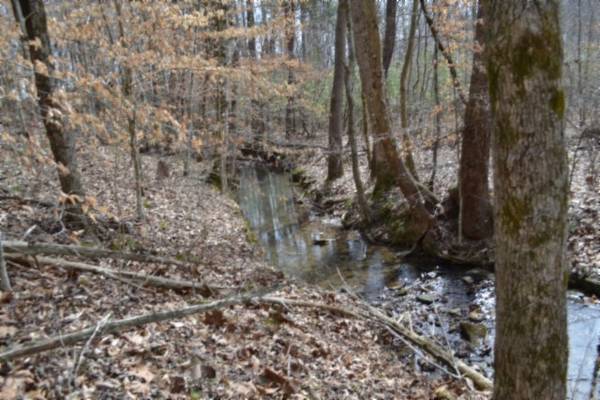 0 Boles Road, Hilham, TN 38568