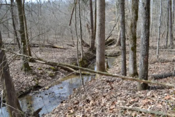 0 Boles Road, Hilham, TN 38568