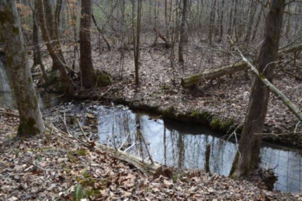 0 Boles Road, Hilham, TN 38568