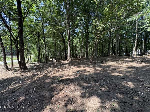 8188 E Town Creek Rd, Lenoir City, TN 37772
