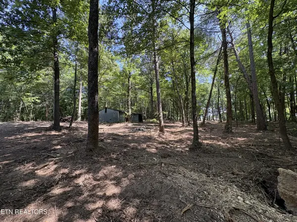 8188 E Town Creek Rd, Lenoir City, TN 37772