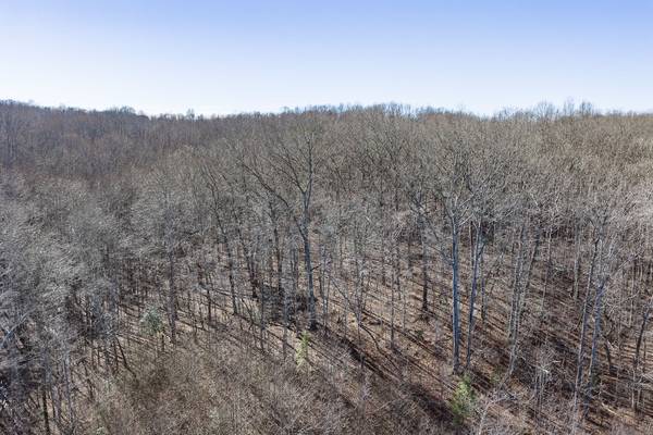 0 Old Altamont Rd, Tracy City, TN 37387
