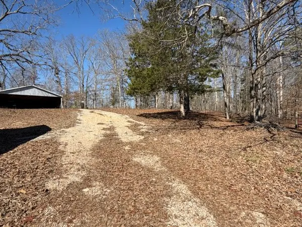 9554 Brooksie Thompson Rd, Bath Springs, TN 38311