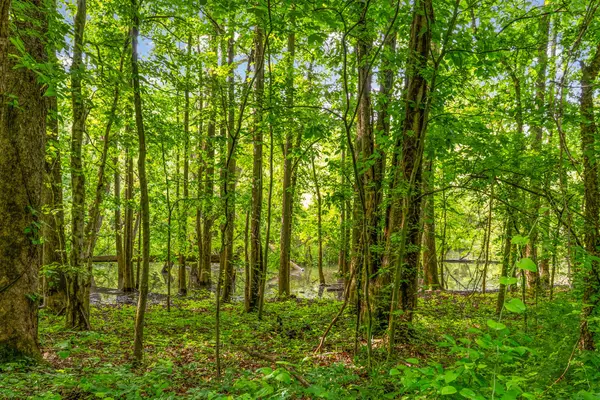 164 Lewis Cir, Dover, TN 37058