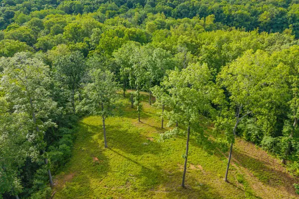 164 Lewis Cir, Dover, TN 37058