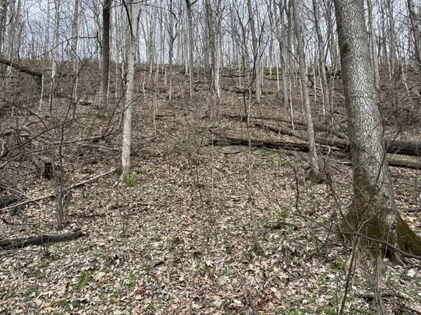 0 Lake View Drive, Smithville, TN 37166
