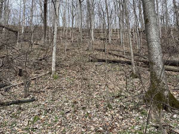 0 Lake View Drive, Smithville, TN 37166