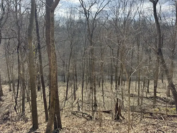 0 Lake View Drive, Smithville, TN 37166
