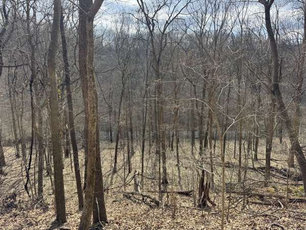 0 Lake View Drive, Smithville, TN 37166