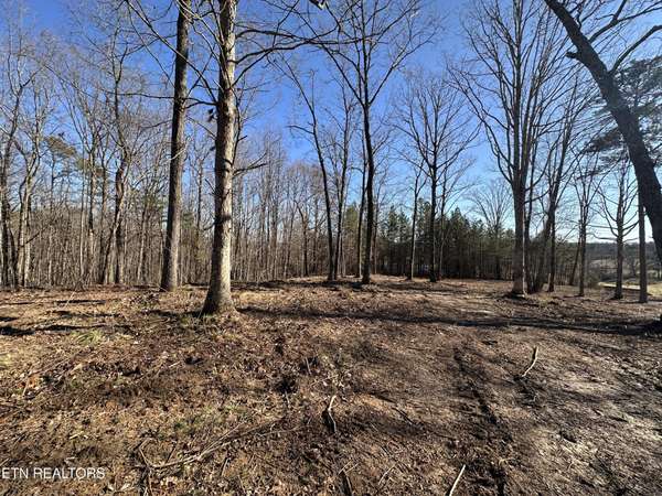 1453 Pickett Park Hwy, Jamestown, TN 38556