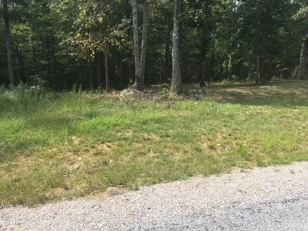 81 The Woodlands of Nashville, Mc Ewen, TN 37101