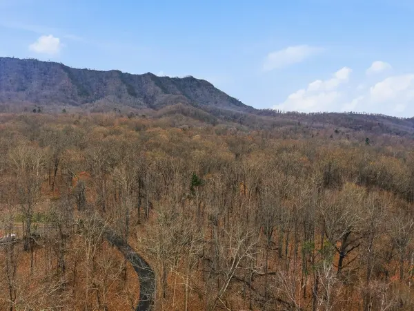 1419 Collier Loop, Dandridge, TN 37725