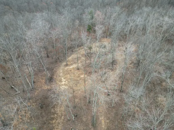 584 Back Bone Rd, Sparta, TN 38583