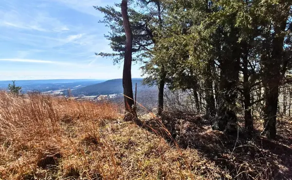 9 Lodge Point Road, South Pittsburg, TN 37380