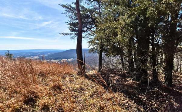 9 Lodge Point Road, South Pittsburg, TN 37380