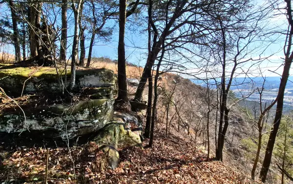 9 Lodge Point Road, South Pittsburg, TN 37380