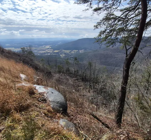 9 Lodge Point Road, South Pittsburg, TN 37380
