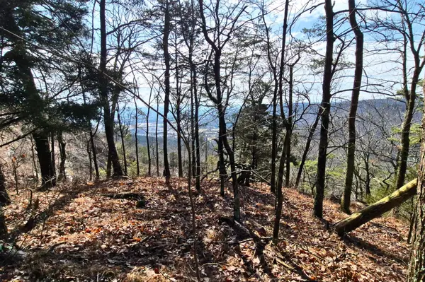 9 Lodge Point Road, South Pittsburg, TN 37380