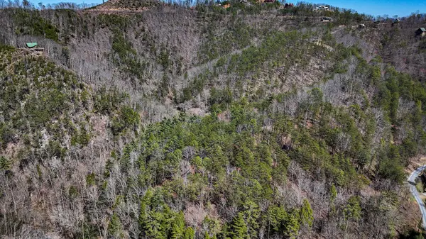 1060 Rayfield Hollow Way, Sevierville, TN 37862