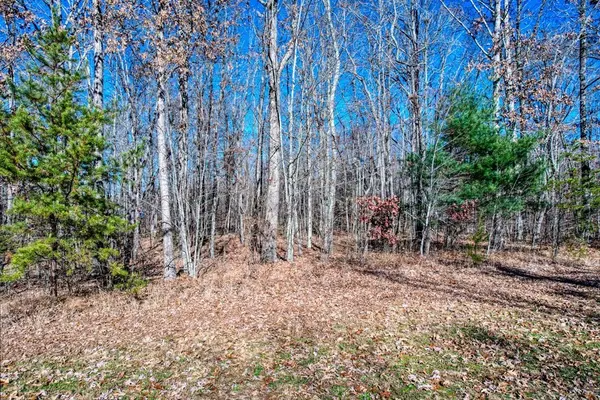 141 Camp Creek Circle, Spencer, TN 38585