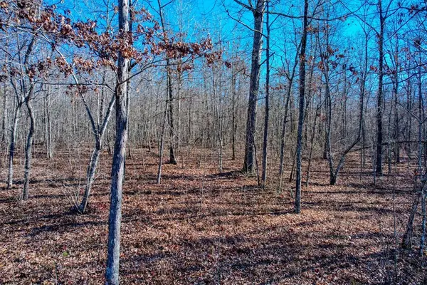 141 Camp Creek Circle, Spencer, TN 38585